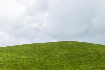 Fototapeta premium green field and blue sky