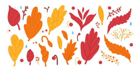 Obraz premium Autumn leaves in warm fall colors set. Textured fall forest elements. Vector hand drawn flat kit illustration isolated on white background.