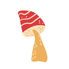 Fly Amanita isolated on white background. Vector hand drawn flat illustration