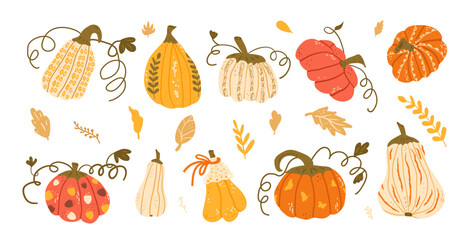 Set of various decorated pumpkins in autumn colors with decorative leaves. Textured autumn ripe vegetables harvest. Vector hand drawn flat kit illustration isolated on white background.