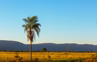 Rural landscapes in Brazil