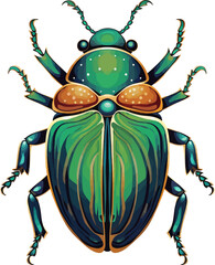 Scarab beetle top view vector isolated animal