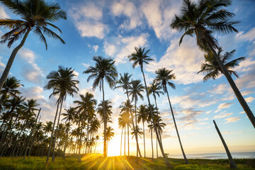 Obraz premium Tropical beach