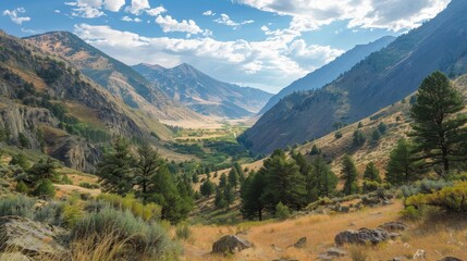 Fototapeta premium A breathtaking view of a mountain valley, with lush green trees and golden hills, under a bright blue sky with white fluffy clouds.