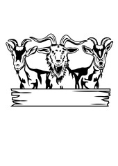 Farm Goat | Farm Animals | Farm Animals | Farmlife | Goat | Domestic Animal | Livestock | Original Illustration | Vector and Clipart | Cutfifle and Stencil