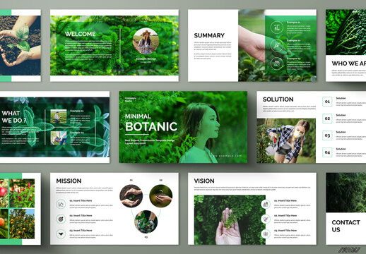 Botanical Minimal Business Presentation