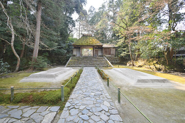 法然院の白砂檀