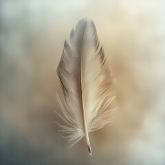 A close-up of a single feather, in sharp focus, minimalist background with soft blur, subtle and natural colors