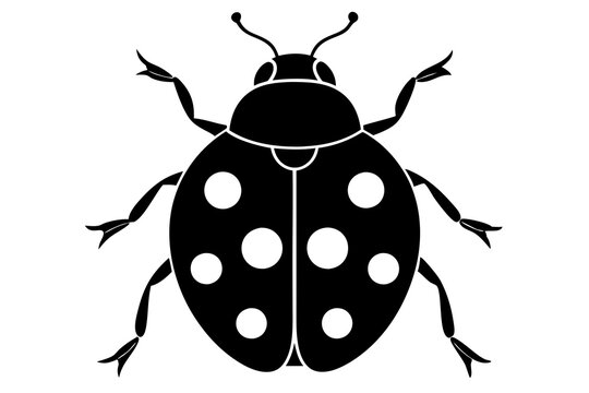 Silhouette of ladybug vector illustration