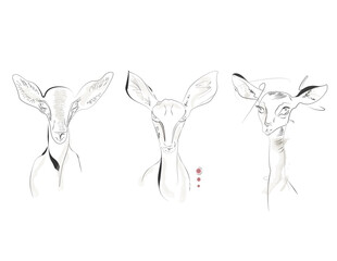 silhouette of a deer