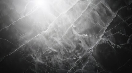 A black and white photo of a marble wall with a spider web pattern