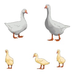 Goose family, female goose, goslings on a white background, watercolor, isolated