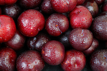 Many cherry plums with water drops close up
