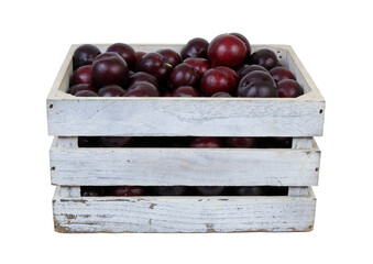 Plums in white wooden crate isolated on white background