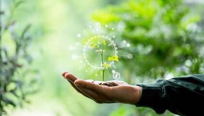Concept of nurturing financial growth planting tree. Depositing money into green bank account supports eco-friendly initiatives, benefiting environment. money, deposit, green, tree, coin, growth.