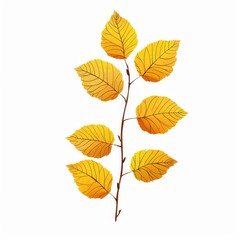 Fototapeta premium A branch with yellow leaves isolated on white background. Autumn foliage illustration. Perfect for seasonal designs.