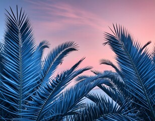 Fototapeta premium Blue Palm Leaves Against Pink Sky 
