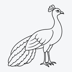 Elegant Peafowl Line Art Vector, Intricate Design for Creative Projects