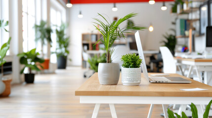 Fototapeta premium Potted plant at modern office with red shade for comfortable work