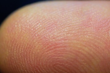 Finger print concept: Macro photo of the lines of a fingerprint of a white man's finger