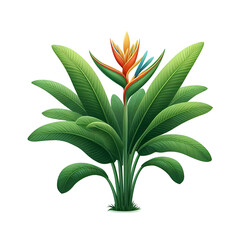 Single topical Plants vector illustration style with white background 