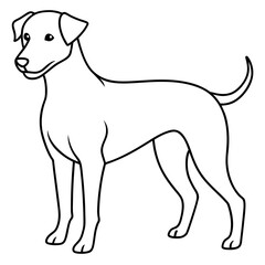 A dog vector art illustration