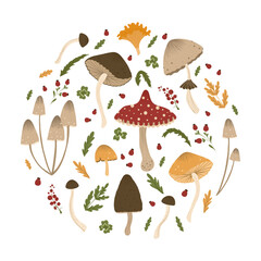 Mushrooms group of objects. Set of autumn mushrooms with grass, amanita, morel, chantarelle, honey agaric, berries. Fall mushrooms for sticker, logo, children book, print. Isolated vector element. Whi