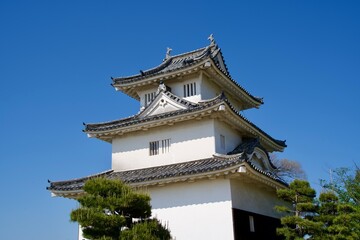 Blue sky and the castle tower of Marugame Castle
