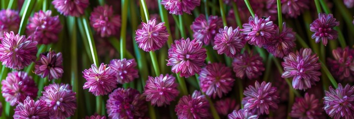 Fototapeta premium Green onion pattern, fresh chive pile texture background, green leek banner, scallion greens pieces