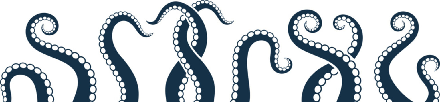 Octopus tentacles. Isolated octopus tentacles on white background