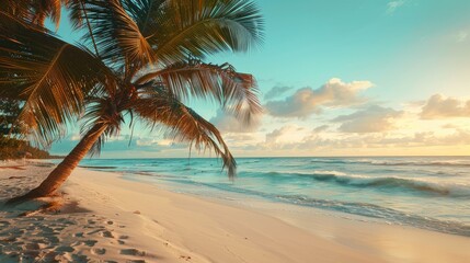 Fototapeta premium Tropical palm trees on sandy shoreline