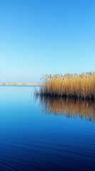 High-Resolution AI-Generated Wallpaper of Vast Reeds and Blue Sea on Pure Blue Background, Reflecting Botanical Beauty and Seasonal Changes in Nature,No one, vacation, vacation, high-definition wallpa