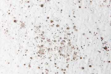 Mold on bathroom ceiling - moist indoor environment - Denmark