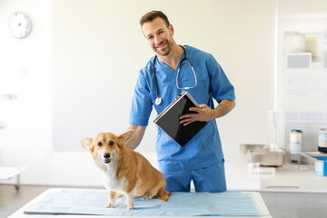 Positive male veterinarian with clipboard petting Pembroke Welsh Corgi dog before examination in office of vet clinics
