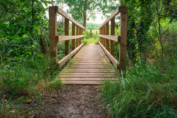 Fototapeta premium Newly constructed footbridge crossing a small stream. Located at the edge of a large forest in Britain. The river is narrow but deep and is dangerous.