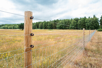 Newly installed electric fence and wooden posts seen on a farm within an area of natural beauty in the UK. A distant forest can be seen.