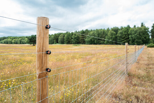 Newly installed electric fence and wooden posts seen on a farm within an area of natural beauty in the UK. A distant forest can be seen.