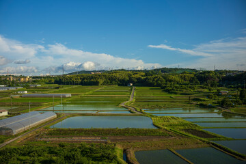 Japan is the ninth largest producer of rice in the world.