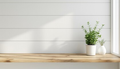Flower pot on wood with white wall background