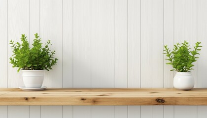 Flower pot on wood with white wall background