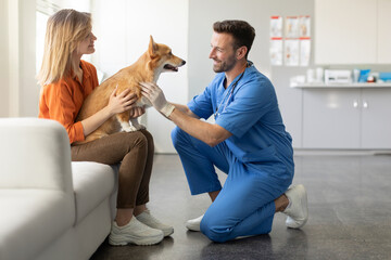 Male veterinarian petting Pembroke Welsh Corgi dog in veterinary clinic, woman brought her dog for...
