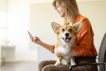 Woman owner of Pembroke Welsh Corgi dog using cellphone while sitting in the hall of veterinary clinic and waiting for appointment with doc, copy space