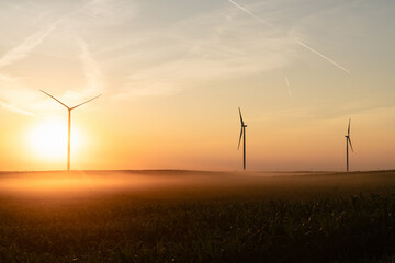 Agricultural field with wind turbines at sunset