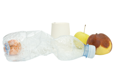 Recyclable waste for sorting, pet, rotten apple. Isolated graphic element. Household waste management concept.