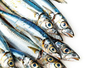 Fototapeta premium Anchovies on a white background