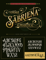 A vintage luxury antique victorian alphabet vector typeset © gagah
