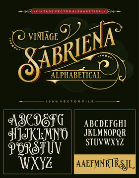 A vintage luxury antique victorian alphabet vector typeset
