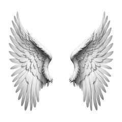 Obraz premium Angel Wings Isolated on transparent Background