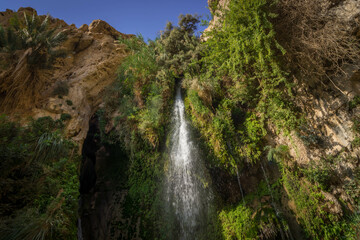 Fototapeta premium The small waterfall, green bushes, and dry rocks deep in the Middle East oasis at Ein Gedi national reserve in Israel. 