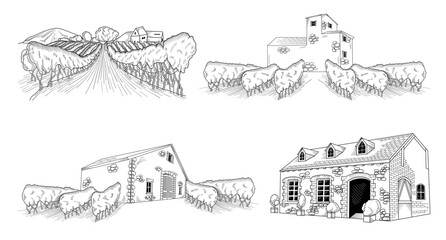 Obraz premium Winery, grapes, vineyard line art drawing, hand drawn vector illustration